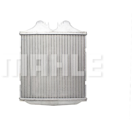 image_765c9304-bf31-48f3-ba5a-532995bd8d99