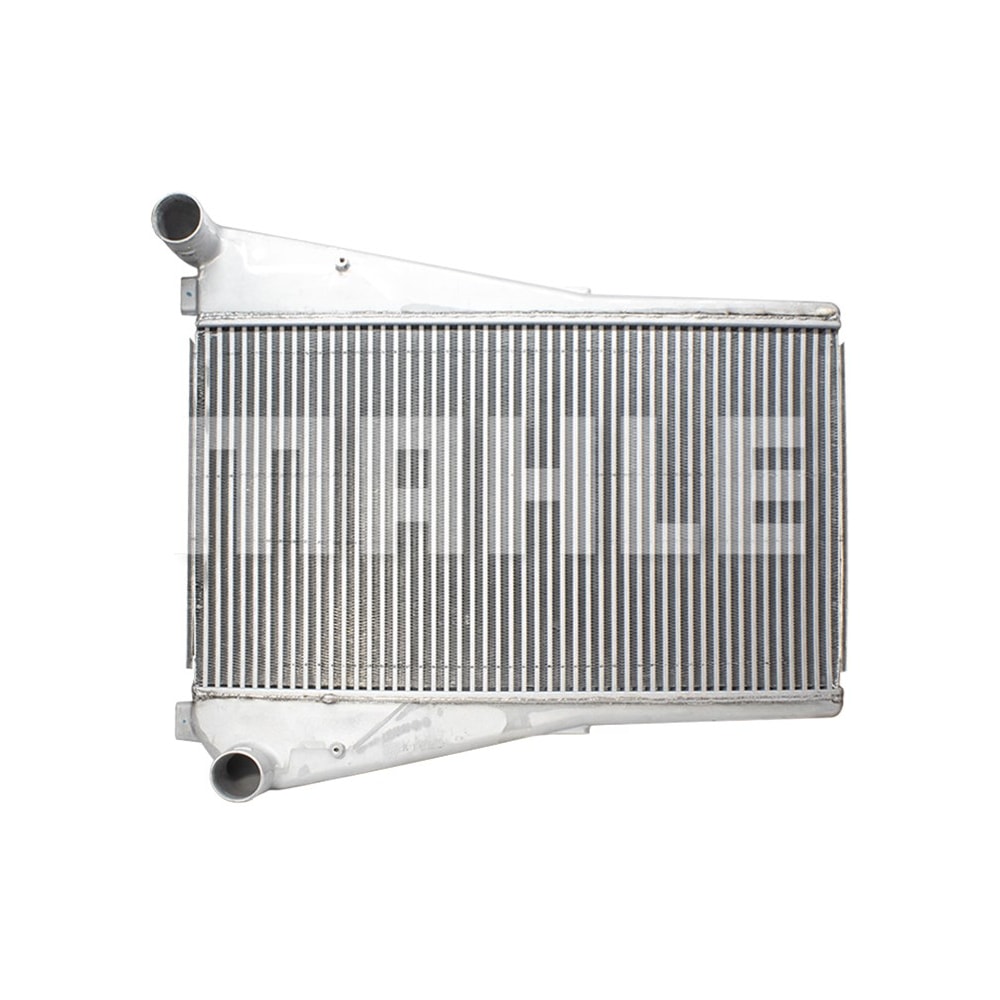 image_5454e812-cfbe-46ab-8ef5-3cc65de3e80f