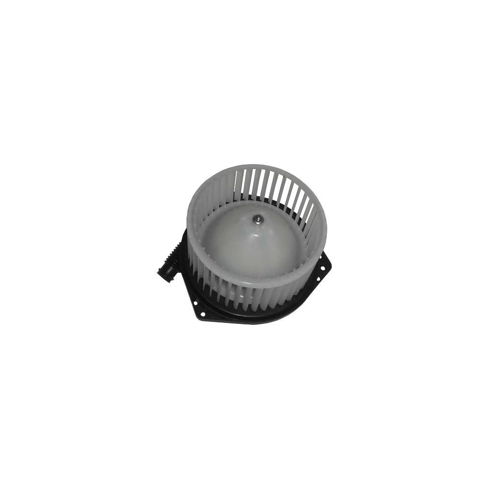 Product main image - 3f78d656-fa70-4503-9959-2e34f8490a69