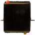 RADIADOR FORD CARGO 1217 / 1416 / 1417 / 1516 / 1421 MOTOR EURO 2 2002 A 2005 - BEHR HELLA