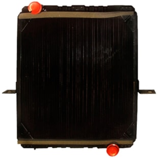 RADIADOR FORD CARGO 1217 / 1416 / 1417 / 1516 / 1421 MOTOR EURO II 2002 A 2005 - BEHR HELLA