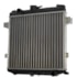 RADIADOR GM CHEVROLET CHEVETTE / CHEVY 500 1.4 / 1.6 8V 1977 A 1995 COM / SEM AR - VISCONDE