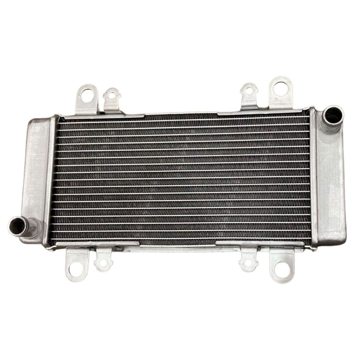 Radiador Radiador Moto Kawasaki Ninja Ex300 2014 - Procooler |