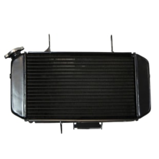 RADIADOR MOTO SUZUKI DL650 V-STROM 2004 A 2011 - PROCOOLER RADIADOR MOTO SUZUKI DL650 V-STROM 2004 A 2011 - PROCOOLER