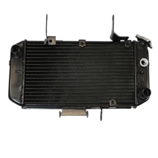 RADIADOR MOTO SUZUKI DL650 V-STROM 2004 A 2011 - PROCOOLER RADIADOR MOTO SUZUKI DL650 V-STROM 2004 A 2011 - PROCOOLER