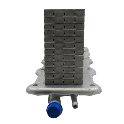 image_8519cf8a-dcf9-45cf-b26e-486f051f1dee