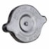TAMPA RADIADOR AGUA VW CAMINHOES E ONIBUS / FORD CAMINHOES CARGO - CLICK