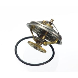 VALVULA TERMOSTATICA BMW SERIE 3 / 5 / 7 - WAHLER