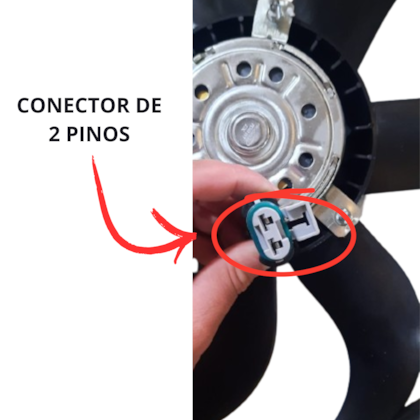 image_c9956791-eaa7-4c5a-a109-12b62866025c