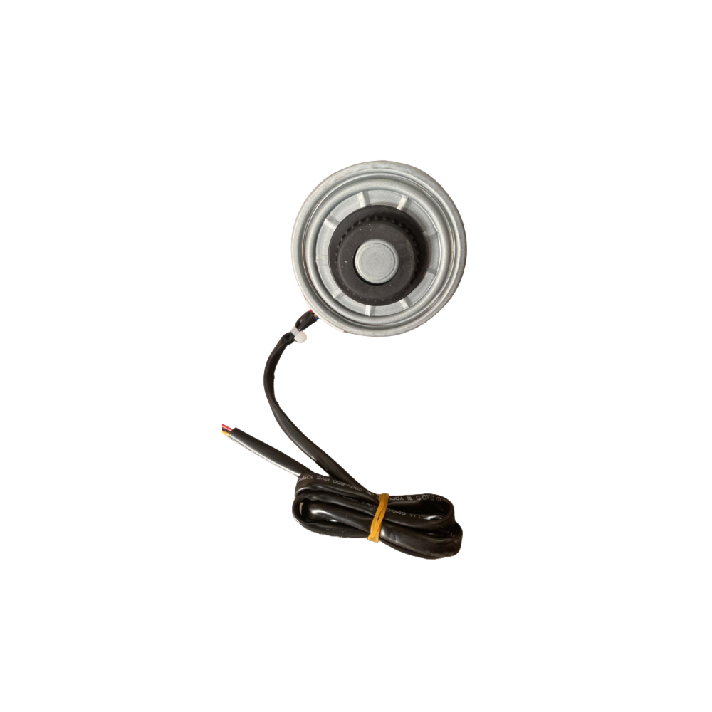 Product main image - 09c56721-6bac-40a0-a2e8-01e69e4d5a74